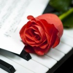 Musical Rose on the Keys